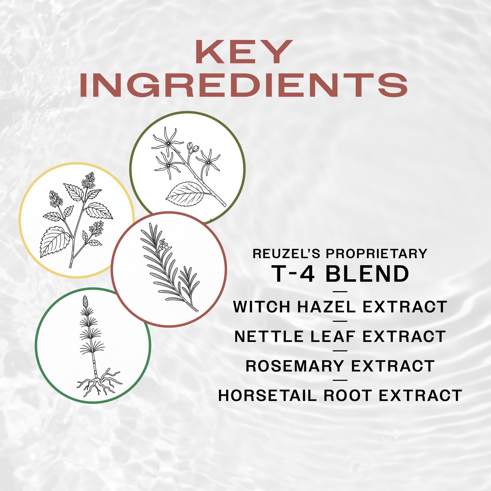 Reuzel Wood & Spice Beard Foam with natural wood and spice scent, featuring a foam bottle for grooming and beard care.